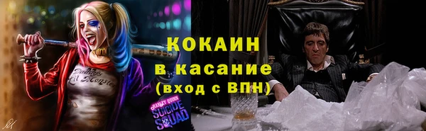 твердый Козельск