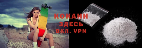 твердый Козельск