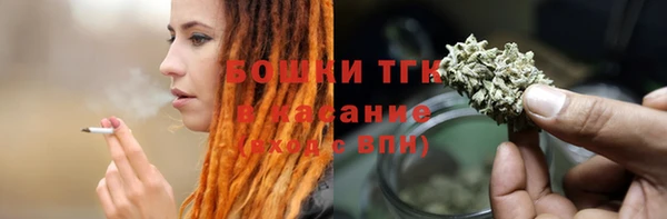 твердый Козельск