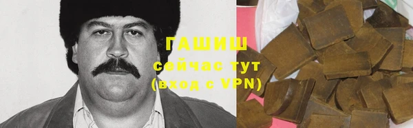 твердый Козельск