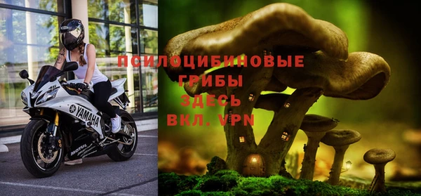 кокс Козловка
