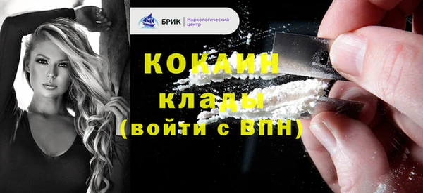 твердый Козельск